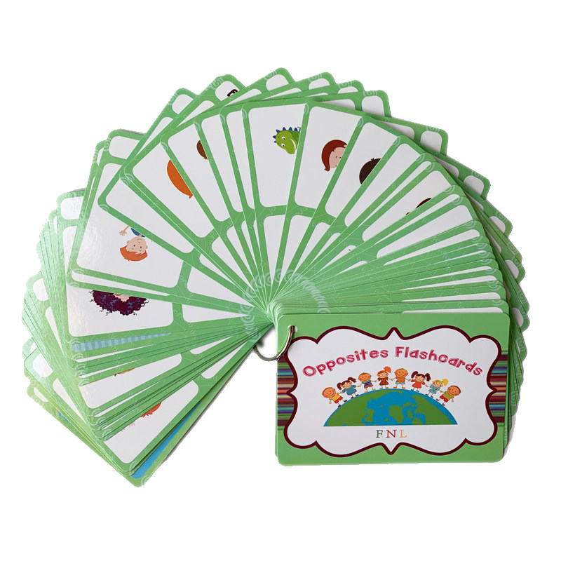 The 100 Groups Opposites Flash - đánh giá và giá Kids Education Card