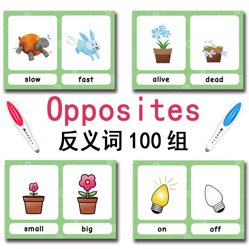 The 100 Groups Opposites Flash - đánh giá và giá Kids Education Card