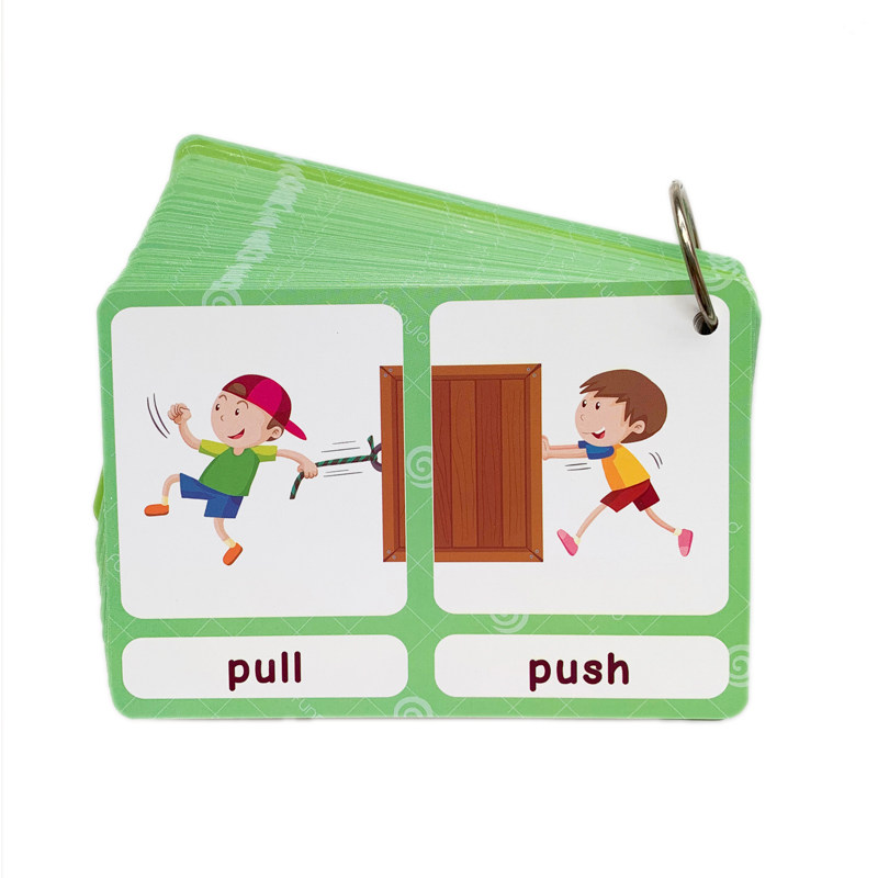 The 100 Groups Opposites Flash - đánh giá và giá Kids Education Card