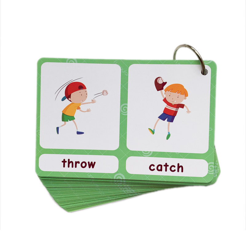 The 100 Groups Opposites Flash - đánh giá và giá Kids Education Card