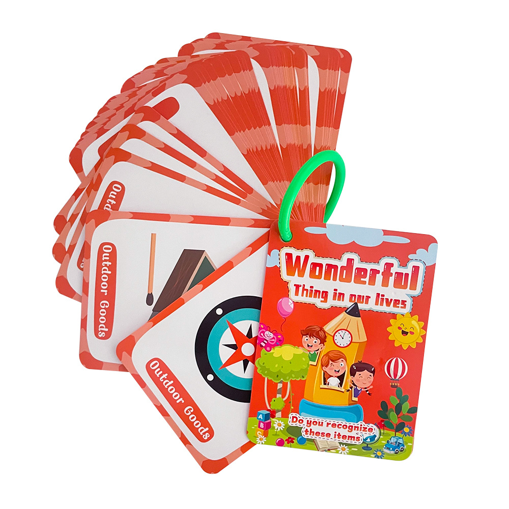 Daily Objects English Flashcar - đánh giá và giá Kids Education Card