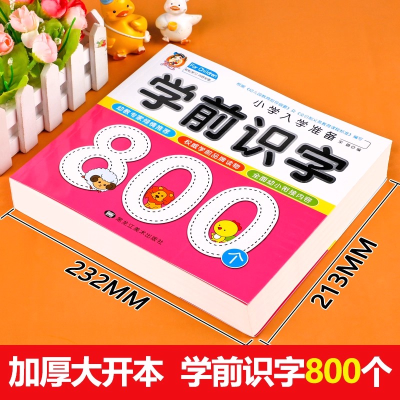 Preschool Literacy: 800 Chines - đánh giá và giá Kid Educational