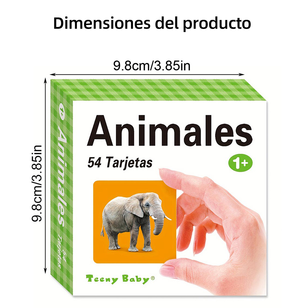Different types of Spanish lea - đánh giá và giá Kids Education Card