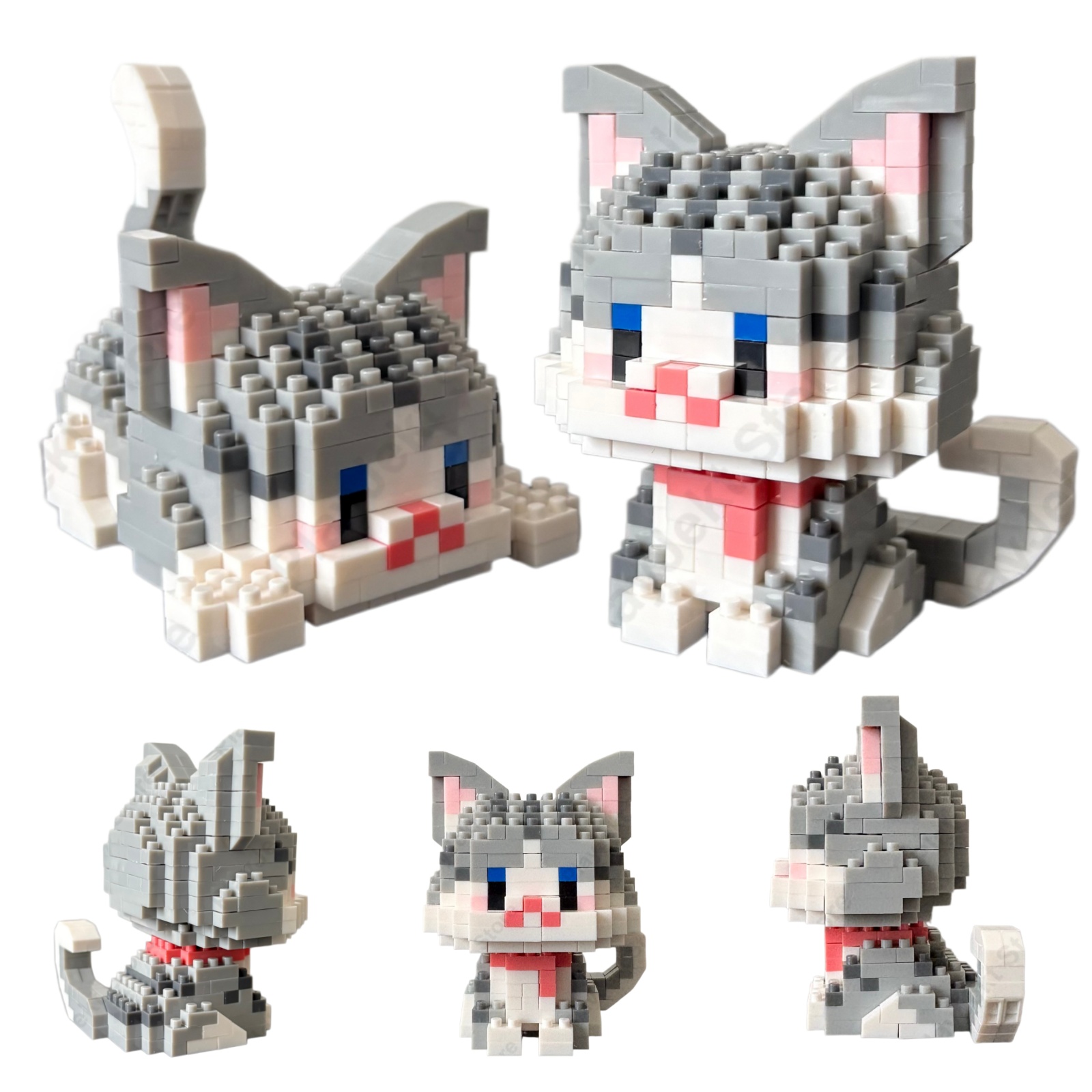 DIY Silver-Tipped Kitten Mini  - đánh giá và giá Kids Education Tips